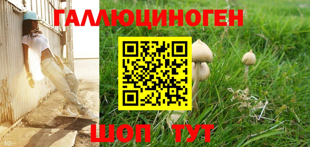 Галлюциногенные грибы GOLDEN TEACHER  Галлюциногенные грибы мухоморы  Вход с VPN  Лесозаводск 