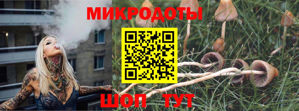 Галлюциногенные грибы мухоморы Лесозаводск